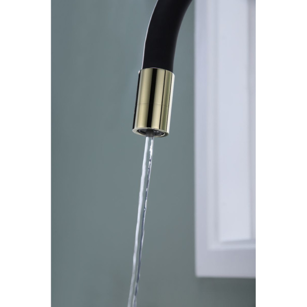 Смеситель для кухни с подключением к фильтру  Paulmark Salix Sa213419-G