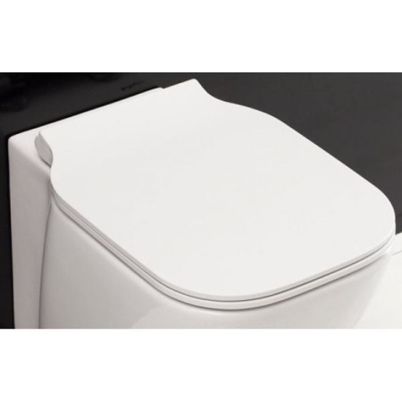 Крышка-сиденье для унитаза BelBagno Aldina BB114SC