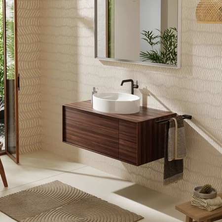 Раковина накладная (55x40) Hansgrohe Xuniva D 60165450 белый