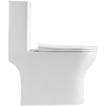 Унитаз напольный BelBagno Lounge BB8618CPR-MN/SC