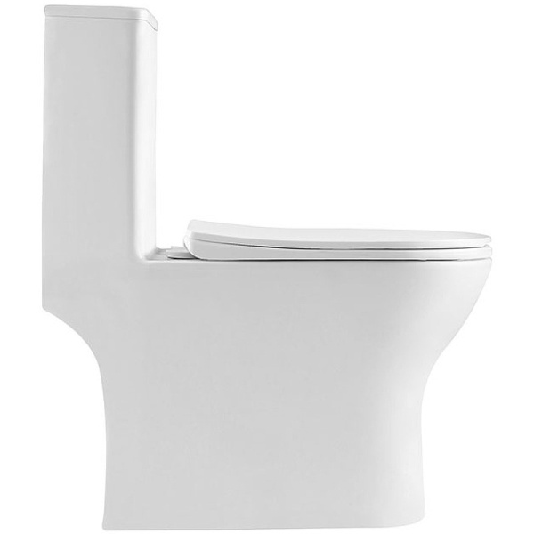 Унитаз напольный BelBagno Lounge BB8618CPR-MN/SC