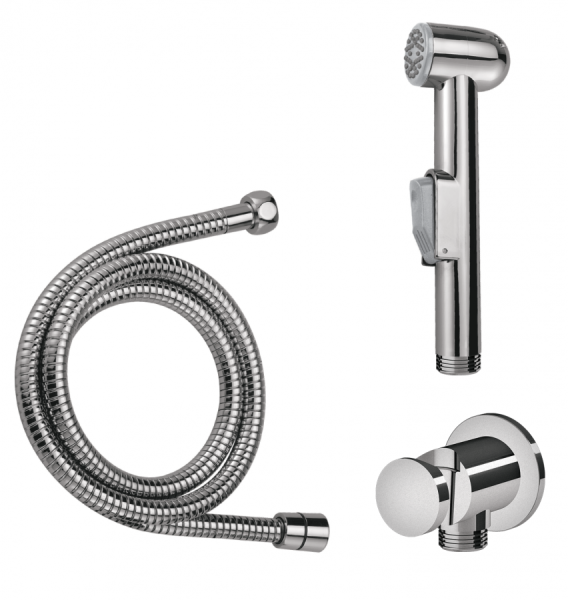 Гигиеническая лейка со шлангом и держателем Am.Pm F0202100