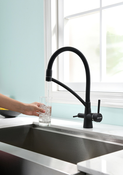 Смеситель для кухни с подключением к фильтру  Paulmark Siеgen Si213111-401TB