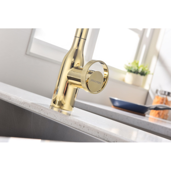 Смеситель для кухни с подключением к фильтру  Paulmark Urban Ur213104-G