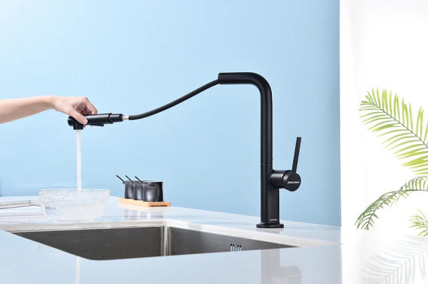 Смеситель для кухни Paulmark Neo Ne214419-401