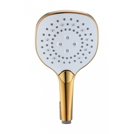 Душевая лейка WONZON & WOGHAND, Темное золото WW-981358-DG