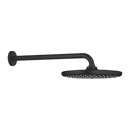 Верхний душ Grohe Tempesta 250 266682430 (черный матовый)