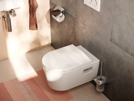 Ершик для унитаза Hansgrohe AddStoris 41752000 хром