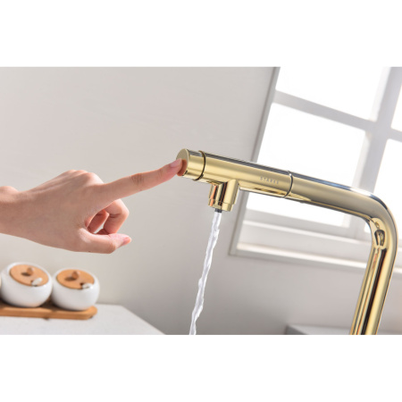 Смеситель для кухни с подключением к фильтру  Paulmark Urban Ur213104-G