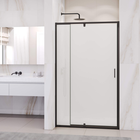 Душевая дверь 80 см RGW Passage PA-008-B 350800889-24 матовое