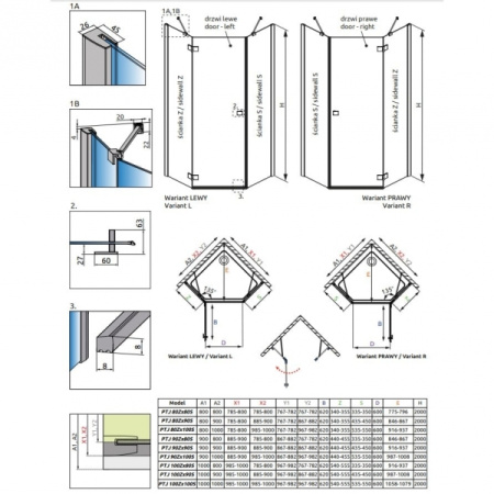 Душевая дверь Radaway Essenza 385010-01-01L