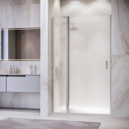 Душевая дверь 120 см RGW Leipzig LE-004 351200412-21 матовое