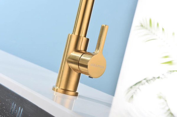 Смеситель для кухни Paulmark Halt Ha214021-BG