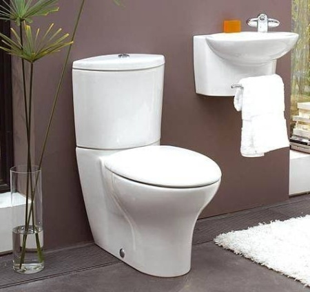 Чаша напольного унитаза Jacob Delafon Presquile 19077-00