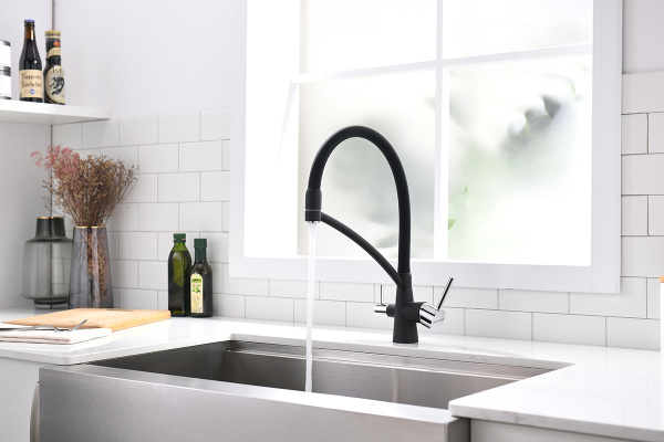 Смеситель для кухни с подключением к фильтру  Paulmark Siеgen Si213111-401