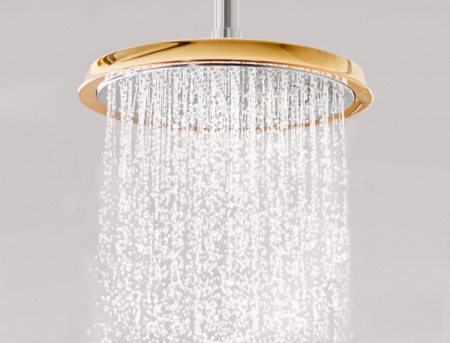 Верхний душ Hansgrohe Raindance Classic 27405090