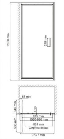 Душевая дверь (100х200) WasserKRAFT Salm 27I12
