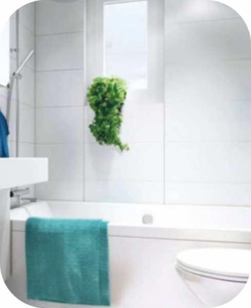 Зеркало (53,5x68) Continent Самба В020