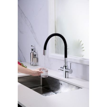 Смеситель для кухни с подключением к фильтру  Paulmark Salix Sa213419-CR