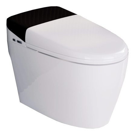 Напольный умный приставной безободковый унитаз RGW SW-30 63420130-01