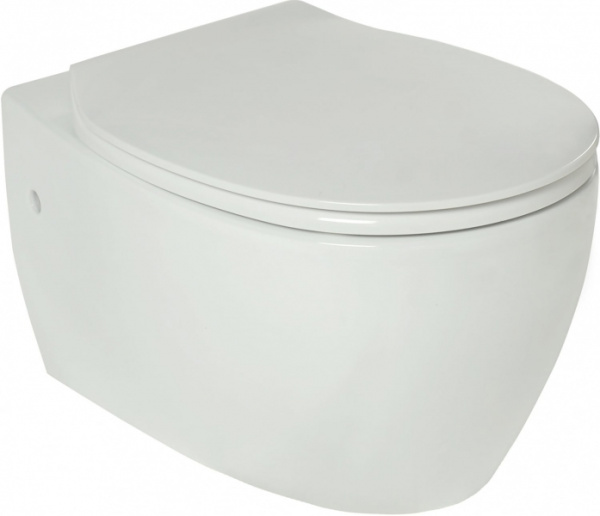 Унитаз-чаша подвесной Creo Decart WD1100+WD1101