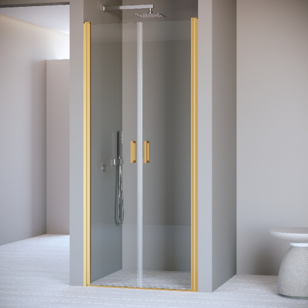 Душевая дверь 120 см RGW Passage PA-104Gb 060810412-16 прозрачное