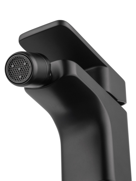 Смеситель для биде WONZON & WOGHAND ARNIE, черный матовый WW-695001-MB