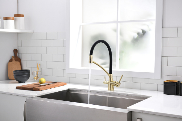 Смеситель для кухни с подключением к фильтру  Paulmark Siеgen Si213111-BR