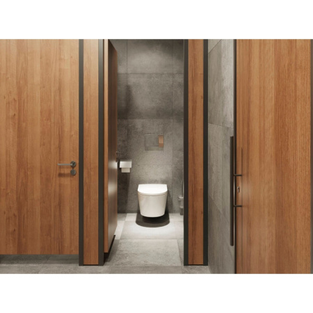 Унитаз подвесной безободковый Hansgrohe EluPura Original S 60142450 без сиденья
