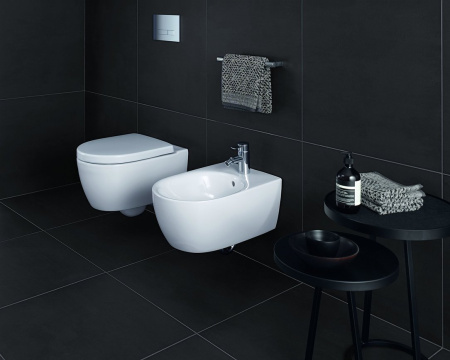 Унитаз подвесной безободковый Geberit iCon 204060000