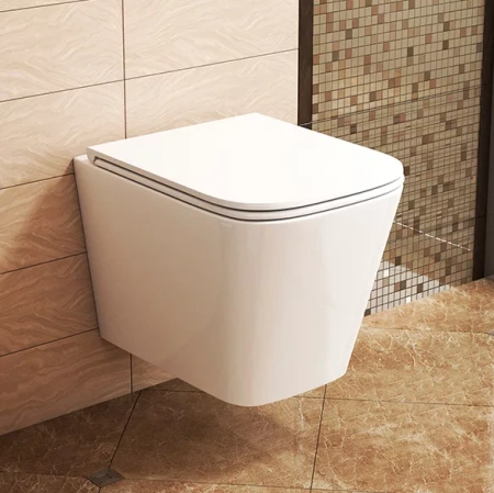 Унитаз подвесной безободковый OWL Vatter Ruta-H mini с сиденьем DP микролифт (Slim) OWLT190403S