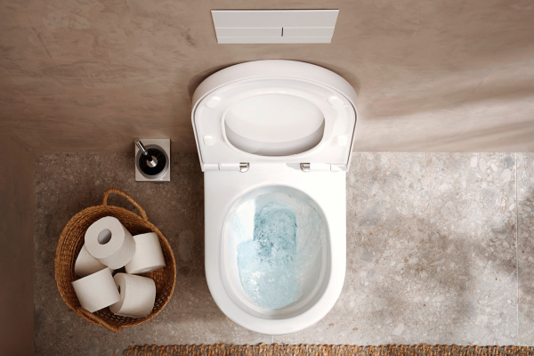 Ершик для унитаза Hansgrohe AddStoris 41752000 хром