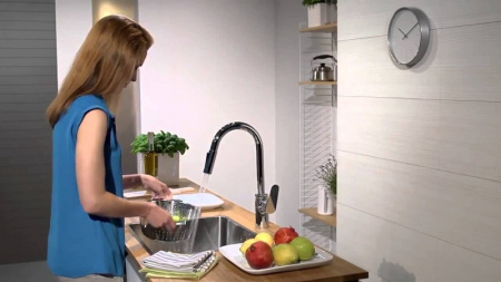 Смеситель для кухни Hansgrohe Focus 31815000