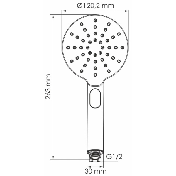 Душевая лейка WasserKRAFT A339