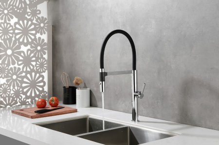 Смеситель для кухни Paulmark Leader Le214101-CR