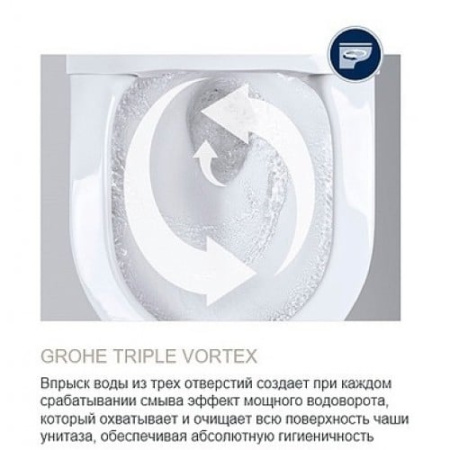 Подвесной безободковый унитаз Grohe Euro Ceramic гигиеническим покрытием (без сиденья), альпин-белый 39206 00H (3920600H)