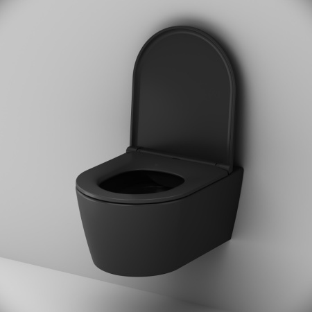 Унитаз подвесной безободковый AM.PM Func C8F1700MBSC с крышкой