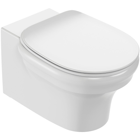 Подвесной безободковый унитаз Jacob Delafon Cleo EDZ102-0 (без сиденья)