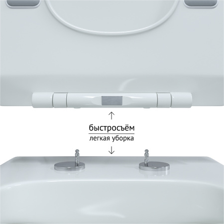Унитаз Berges Wasserhaus Floe Rimless 082121
