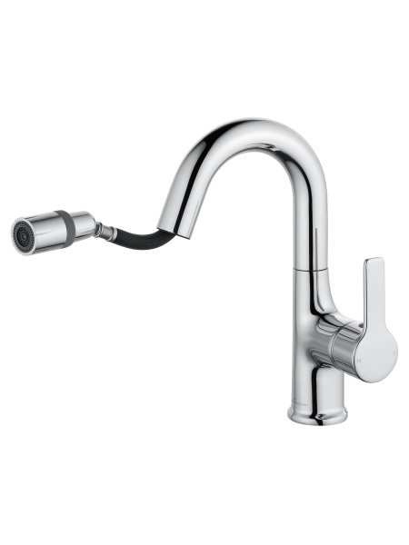 Смеситель для раковины с выдвижным изливом WONZON & WOGHAND, хром WW-FE01L212-CR