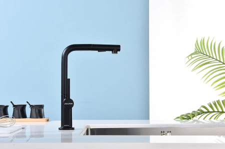 Смеситель для кухни Paulmark Neo Ne214419-401