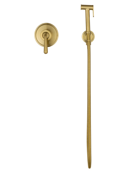 Смеситель с гигиеническим душем встраиваемый WONZON & WOGHAND STEAM, брашированное золото WW-88849008-BG