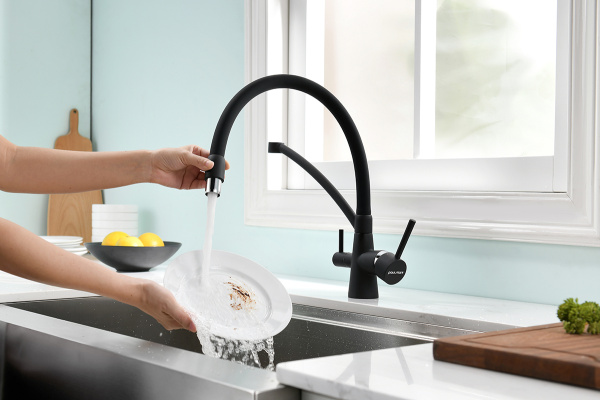 Смеситель для кухни с подключением к фильтру  Paulmark Siеgen Si213111-401TB