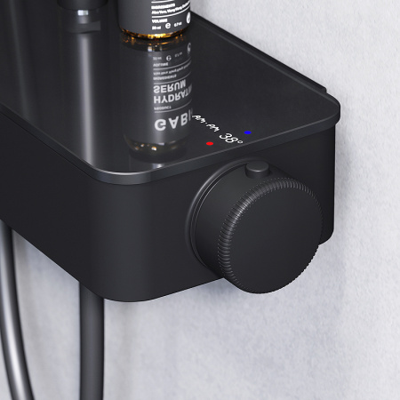 Душевая система AM.PM Inspire V2.0 F0750A422