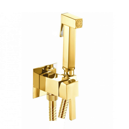 Гигиенический душ со смесителем Webert Pegaso PE870303010