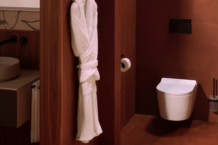 Ершик для унитаза Hansgrohe AddStoris 41752670 черный матовый