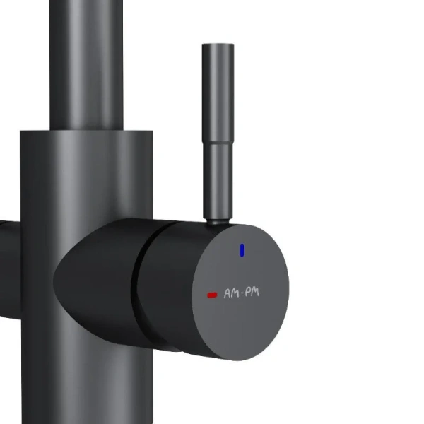 Смеситель для кухни с подключением к фильтру AM.PM X-Joy S F85B07722 черный матовый