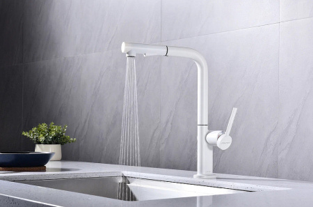 Смеситель для кухни Paulmark Neo Ne214419-431