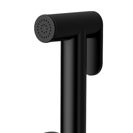 Гигиенический душ со смесителем Raiber Graceful RPB-009 черный