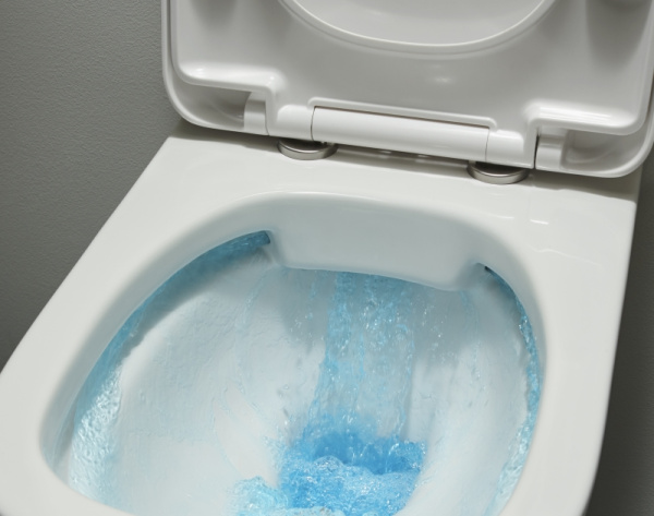 Чаша напольного унитаза Jacob Delafon Vox UJN102-00 без бачка и сиденья